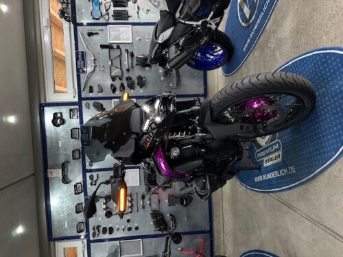 bmw_r1250gs_r1300gs_cruising_light
