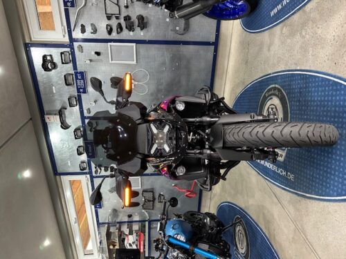 bmw_r1300gs_r1250gs_cruising_light